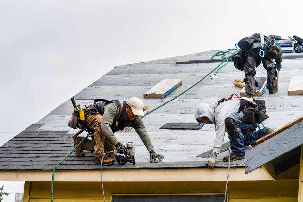 Professional Gutter Installation technician working in Jacksboro, TX